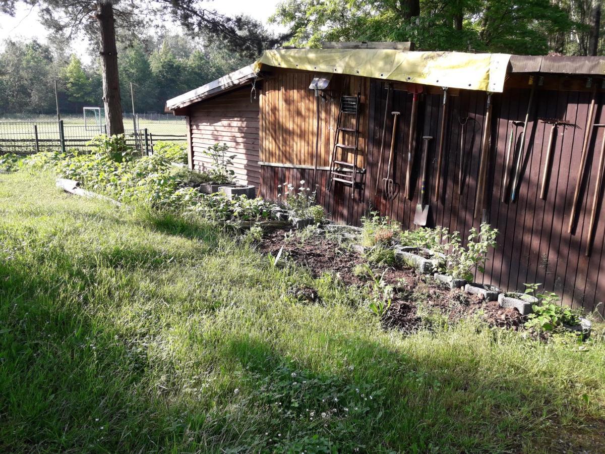 Birkenhof Ashram Shanti Zimmer Apartment ซิทเทา ภายนอก รูปภาพ